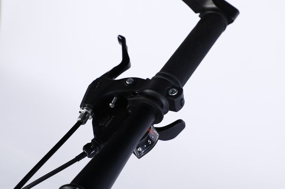 Ordinary Pedal 26inch Mountain Bike equipped with Ltwoo A11 11s Gear and carbon Steel