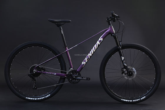 Rigid Frame 29inches Mountain Bicycle Aluminum Alloy Frame Mountain Bike3*10s RTS