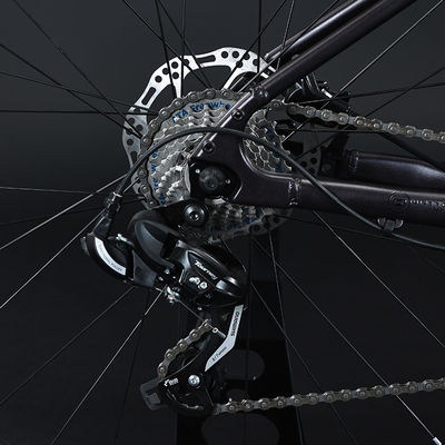 700*35C Tire Flat Bar Adventure Bike with Ordinary Pedal and Aluminum Fork Material