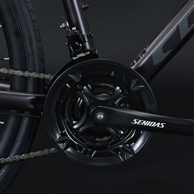 700*35C Tire Flat Bar Adventure Bike with Ordinary Pedal and Aluminum Fork Material