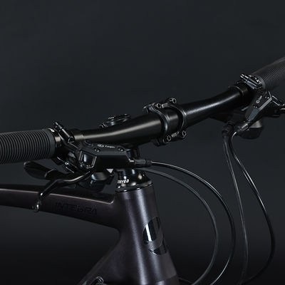 700*35C Tire Flat Bar Adventure Bike with Ordinary Pedal and Aluminum Fork Material