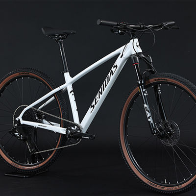 11-52T Gears Range Downhill Mountain Bike with Shimano Shifter and Ordinary Pedal
