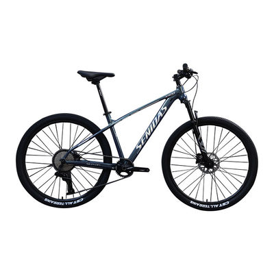 27.5 29 Bicycle Marlin 10 Speed Customized Adult Mountain Bike with and Ordinary Pedal