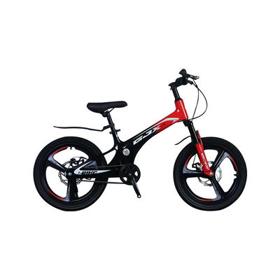 Mountain Bicycle with 21 Speed Gears and Magnesium Alloy Frame