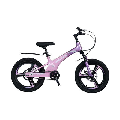 Mountain Bicycle with 21 Speed Gears and Magnesium Alloy Frame
