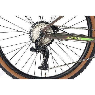 22 Speed Hydraulic Disc Brake Mountain Bike for 29er Aluminum Material and Construction