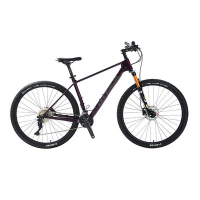 29" Carbon Fiber Mountain Bike with  Shimano 22s deore parts Customizable