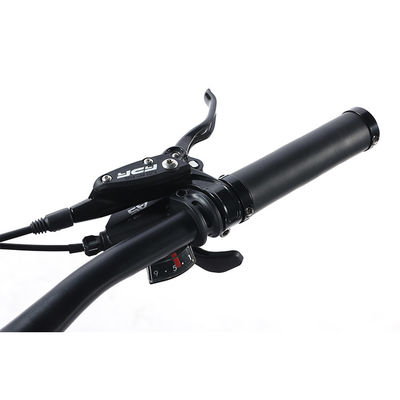 22 Speed Frame Mountain Bike For Men And Women Without Front Derailleur
