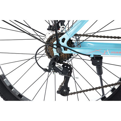 Mechanical Disc Brake 21 Speeds Steel Frame Mountain Road Bike for City Travel Bicycle