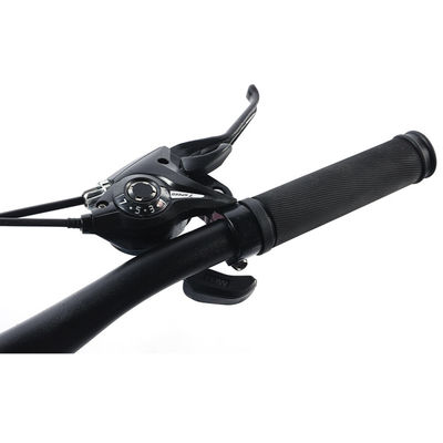 Mechanical Disc Brake 21 Speeds Steel Frame Mountain Road Bike for City Travel Bicycle