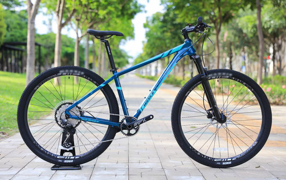 SMN M6000-30 Speed Derailleur Lever And Prowheel TEN-M601 Crankset On 29" Mountain Bike