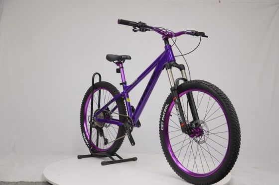 Experience the Freedom of Mountain Biking with Sports Mountain Bike 8/9 Speeds Dirt Jumper MTB