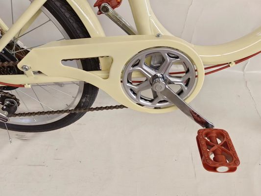 20 Inches Front Big Basket For Pet Carriage Lady City Bike Fashion Design