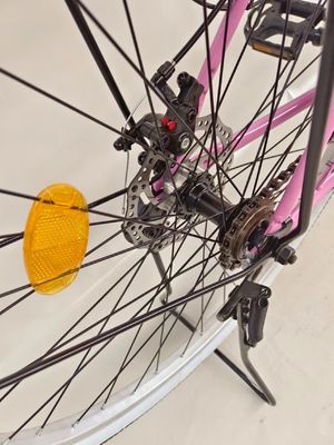 24 inches City bicycle single speed city bike Disc brake with dynamo light