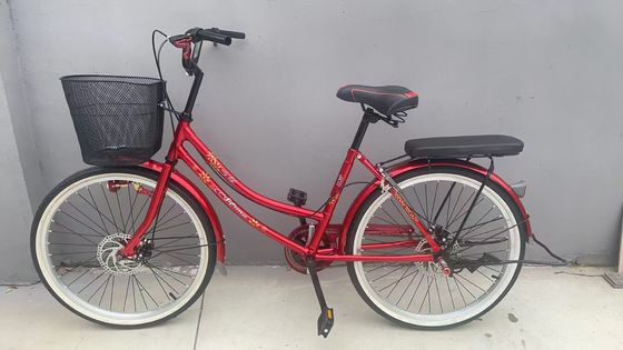 24inch Women's Bike with Rear Rack Elegant Ladies Cycle Bicicleta Urbana Femenina Classic Style Women's Bike