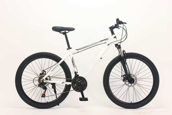 54 Cm Frame Size Racing Road Bike Incorporating ZOOM Hydraulic Brake Offering Braking Power for Road Racing Challenges