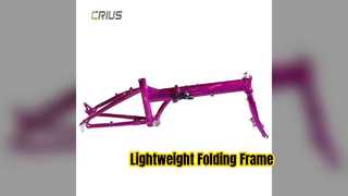 20 Inch Folding Bike Frame Aluminum Alloy